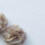 Beige Pom Pom Flowers Handm..